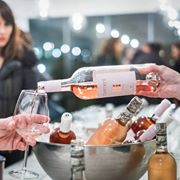 Forårets vine - rosé